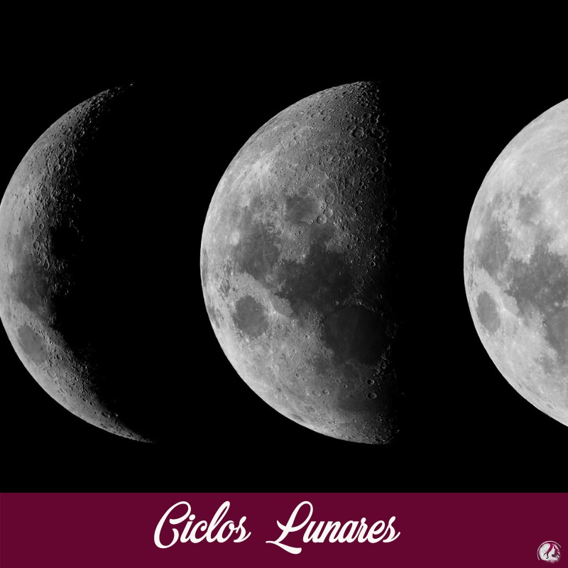 Ciclos Lunares